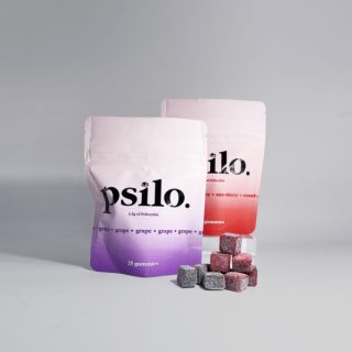 psilo mushroom gummy cubes