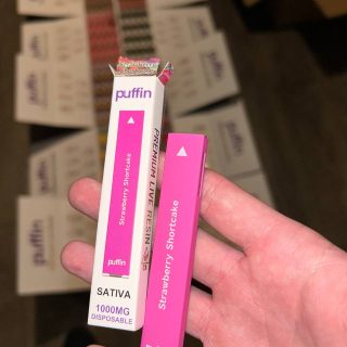 puffin disposable