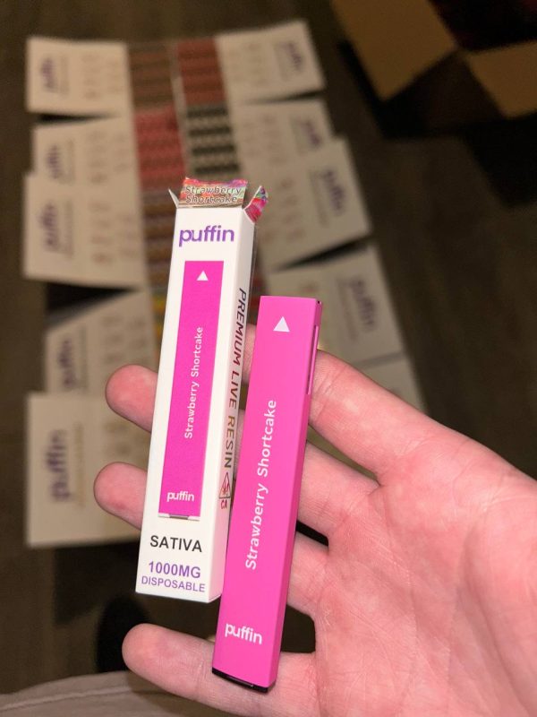 puffin disposable